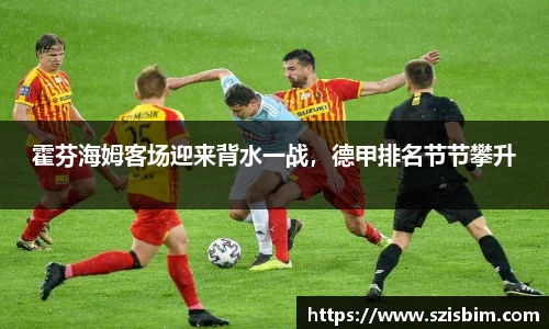 霍芬海姆客场迎来背水一战，德甲排名节节攀升
